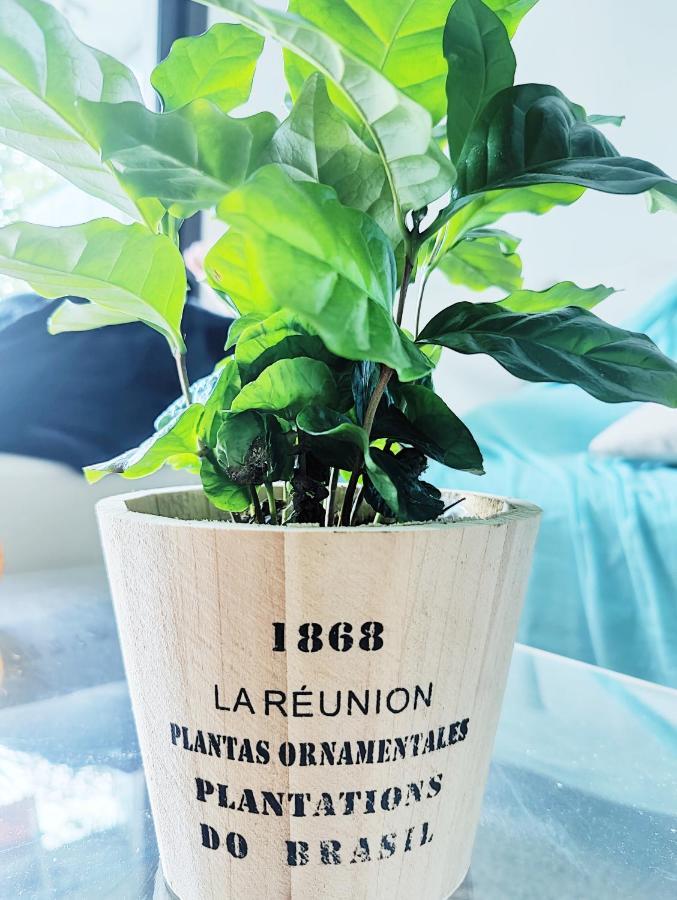 Garden Flat In Канны Экстерьер фото